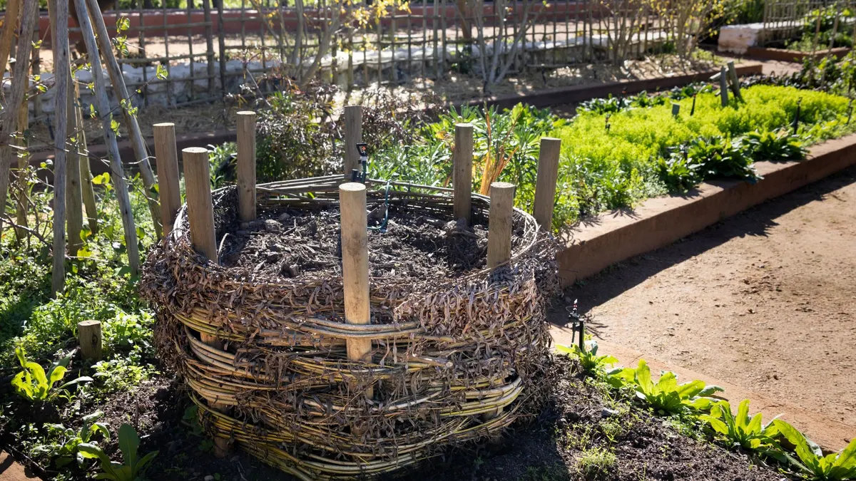 A woven compost bin in a lush garden with spring plants thriving in sunlight.