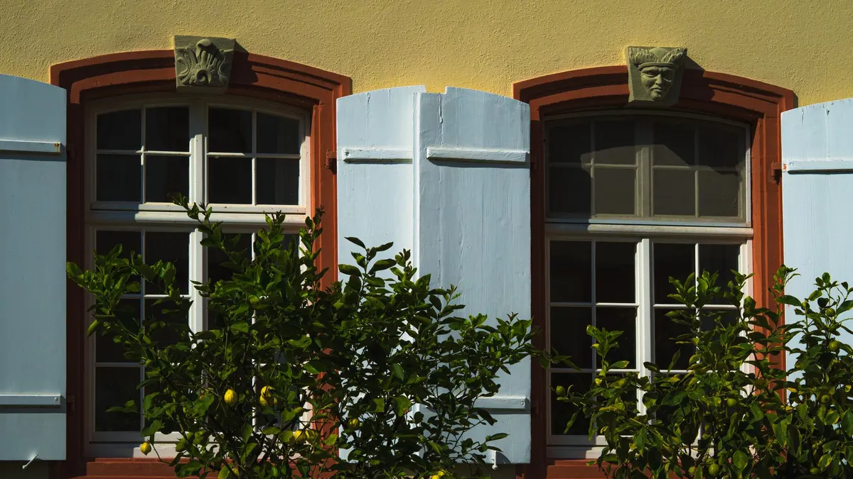 Elegant windows with light blue shutters and citrus trees casting shadows on a sunny outdoor wall.
