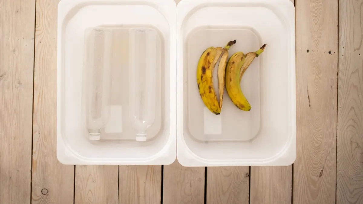 Top view of transparent plastic bottles and banana peels separated into white containers placed on wooden floor in light room