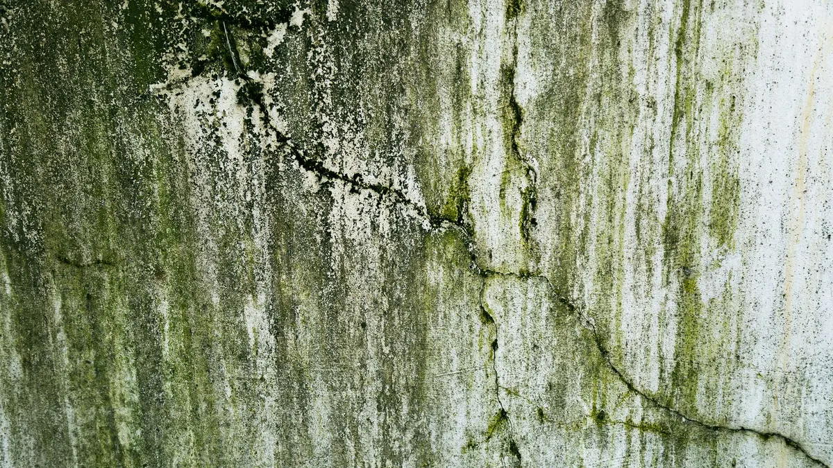 Close-up of a weathered wall with cracks and green algae, texture details.