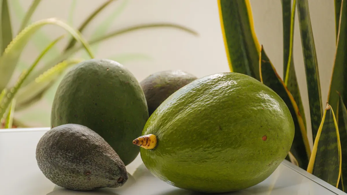 Close-up of ripe avocados on a white surface, perfect for healthy eating visuals.