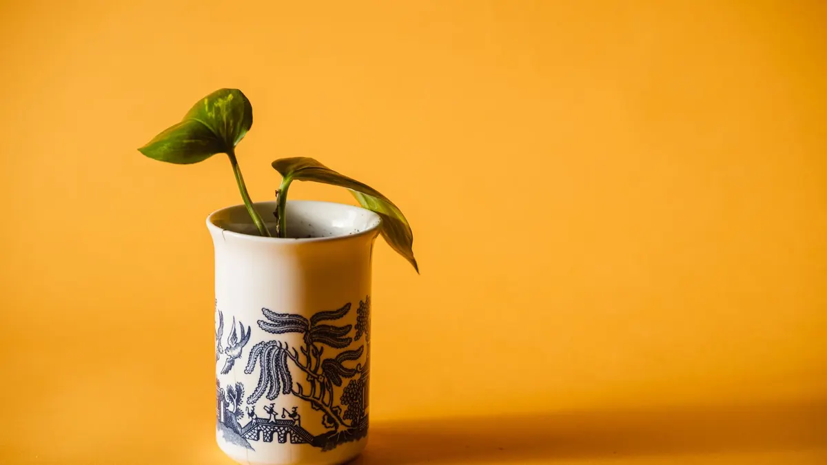 Stylish ceramic vase holding a fresh green plant against a bright yellow background.
